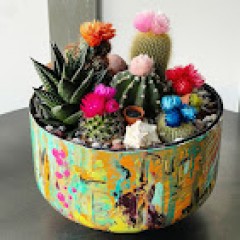 Seller Image